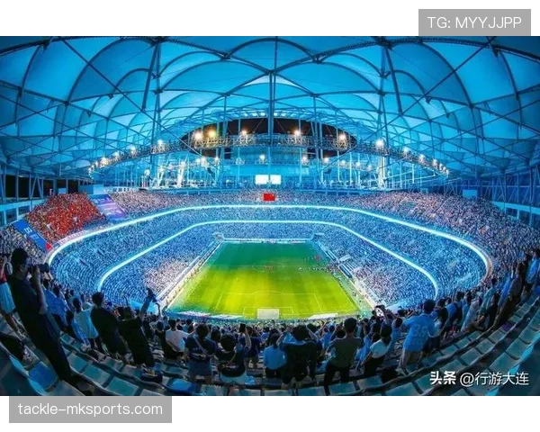 欧洲杯激战正酣，多特信号公园变身球迷狂欢圣地