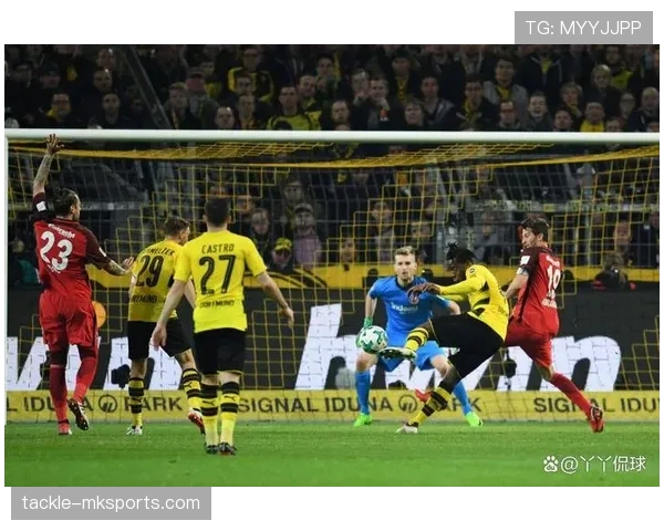 多特蒙德攻防兼备展现硬实力，争冠走势日益清晰