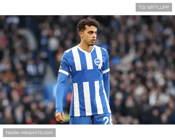 布莱顿力克热刺,状态回暖强势领跑英超积分榜 布莱顿力克热刺,状态回暖强势领跑英超积分榜