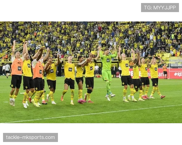 德甲中下游球队近期表现稳健，竞争力逐步增强